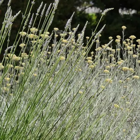 Charmante Maison Provencal A Avec Piscine 펜션 *